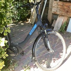 Gazelle paris, gerapporteerd met iLost