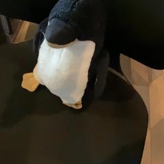 Plüss, amint azt MEININGER Hotel Paris Porte de Vincennes az iLost segítségével jelentette.