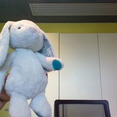 Mantita lapin bleu-vert, ha sido reportado por MEININGER Hotel Lyon Centre Berthelot con iLost