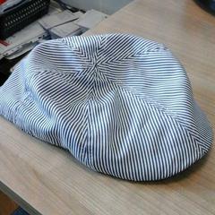 Pet, as reported by Connexxion Noord Holland Noord Den Helder using iLost