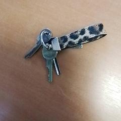 Klíč, jak nahlášeno Hermes Eindhoven pomocí iLost