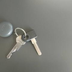 المفاتيح (متنوعة) Met hangertje، كما تم الإبلاغ عنه بواسطة Regio Limburg - Leuven عبر iLost
