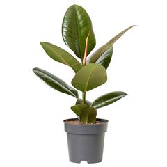 IKEA produkt, som rapportert av IKEA Tokyo-Bay ved bruk av iLost