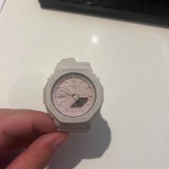 손목시계 roze, iLost를 사용하여 Van der Valk Avifauna에 보고됨
