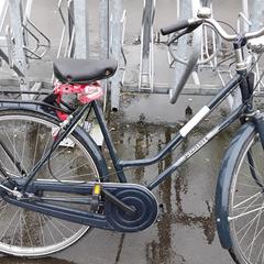 Fiets topmaster  Blauw, zoals gemeld door Fietsdepot Hasselt met iLost