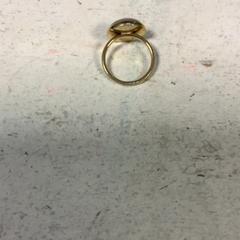 Ringe, som rapportert av Artis ved bruk av iLost