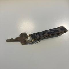 Nøkkel hanger, som rapportert av Gemeente Meierijstad ved bruk av iLost