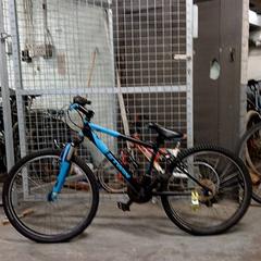 Sykkel Zwart/blauw, som rapportert av Fietsdepot Hasselt ved bruk av iLost