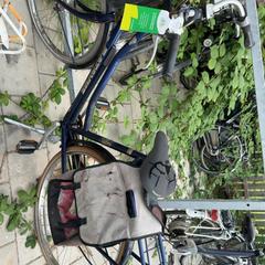 Damcykel, rapporterat av Gemeente Hollands Kroon med iLost