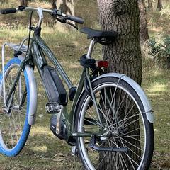 Fiets, come riportato a iLost