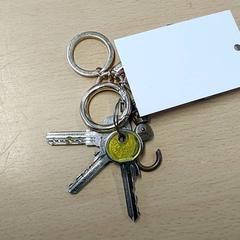 Sleutel, zoals gemeld door Regio Limburg - Leuven met iLost