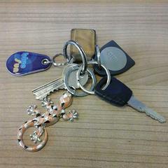 Sleutelbos, as reported by Connexxion Noord Holland Noord Den Helder using iLost