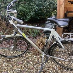 Fiets Gazelle, come riportato a iLost