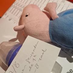 Joguina, segons ha informat Bibliotheek Neude (Utrecht) mitjançant iLost
