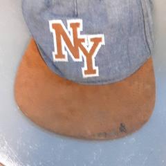 Gorra de béisbol, segundo informou Diergaarde Blijdorp usando iLost
