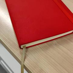 Diár, segons ha informat IKEA Bratislava mitjançant iLost