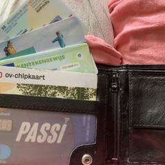Portmonnaie, jak bylo nahlášeno na iLost