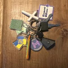 Sleutelbos, amint azt az iLostnak jelentették.