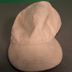 Gorra, ha sido reportado por Diergaarde Blijdorp con iLost