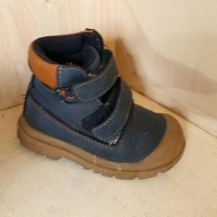 Scarpa Blauw, come riportato da DierenPark Amersfoort utilizzando iLost