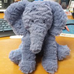 Knuffel Olifant, rapporterat av Carlton Beach Hotel med iLost