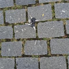 Sleutelbos, jak bylo nahlášeno na iLost