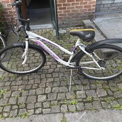 Bicykel Wit met paarse tekst avant garde, ako bolo nahlásené Gemeente Zonhoven pomocou iLost