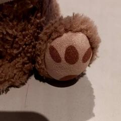 Knuffel, zoals gemeld door De Efteling met iLost