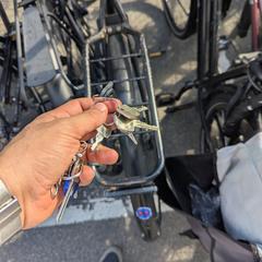 Sleutelbos, sleutels, amint azt az iLostnak jelentették.