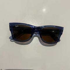 Gafas de sol Rayban, ha sido reportado por Van der Valk Avifauna con iLost