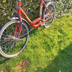 Fiets, amint azt az iLostnak jelentették.