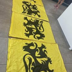 Flagge Vlaamse Leeuw, gemeldet von Stad Hasselt über iLost