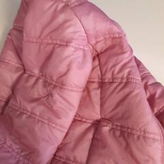 Jacke Roze, gemeldet von Dolfinarium über iLost