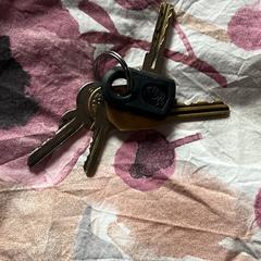 Sleutels، كما تم الإبلاغ عنه عبر iLost
