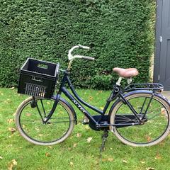 Fiets, como reportado ao iLost