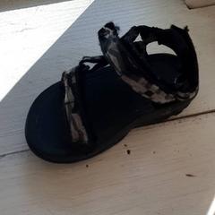Sandal, som rapportert av DierenPark Amersfoort ved bruk av iLost