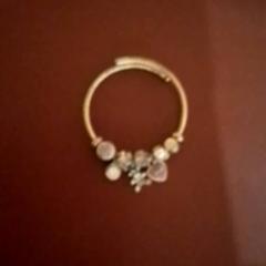 Bracelet, as reported by Apenheul using iLost
