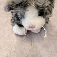 Katten, segundo informou IKEA Malmö usando iLost