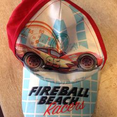 Pet, as reported by Dolfinarium using iLost