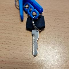 Key Zwart, as reported by Gemeente Roermond using iLost