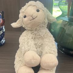 Kuscheltier schaap, gemeldet von Hotel Apeldoorn über iLost