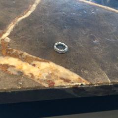 Ring, as reported by Van der Valk Hotel Amsterdam Zuidas using iLost
