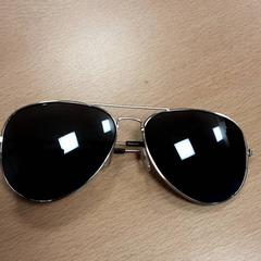 Sunglasses, as reported by Arriva Vechtdallijnen using iLost