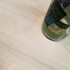 Drickskopp Plastic groene fles met drinktuitje., rapporterat av Beekse Bergen Resorts en Hotel med iLost