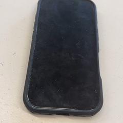 Iphone がiLostで Dominator によって報告されました