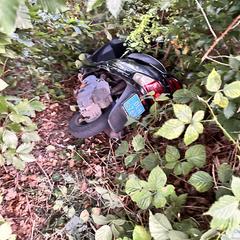 Scooter, segons s'ha informat a iLost