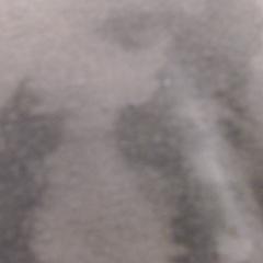 セーター grijs がiLostで Walibi Holland によって報告されました
