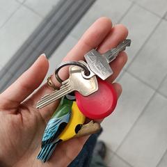 Sleutel met vogel sleutelhanger, jak bylo nahlášeno na iLost