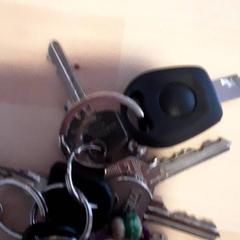 Chiave, come riportato da LUMC utilizzando iLost