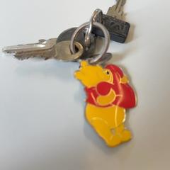 Keychain Winnie de pooh, as reported by Pukkelpop Camping Relax using iLost
